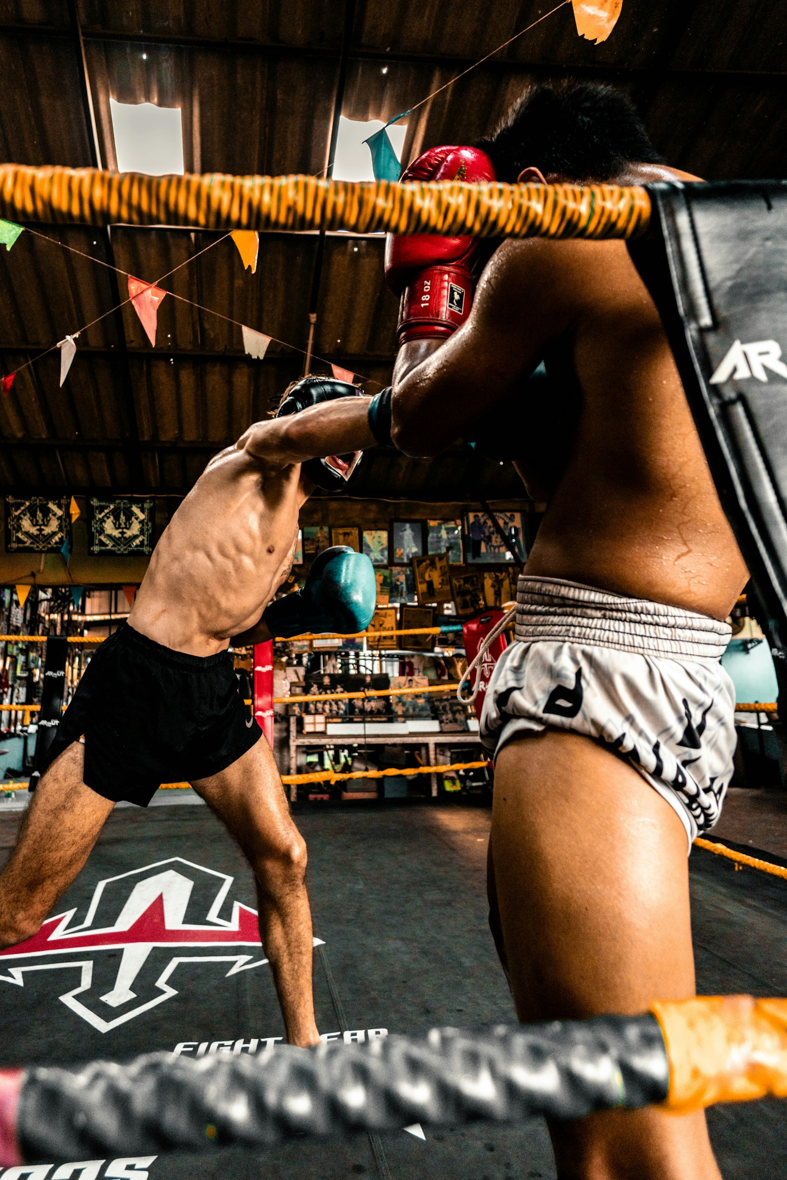 Besteverstr fight-night inspired scene with ring lights, warm highlights, and a dramatic crowd silhouette